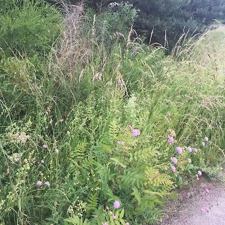 Entspannung In Der Schoenen Lueneburger Heide Gohrde
