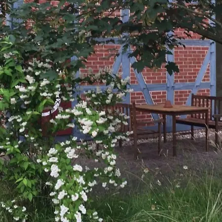 Entspannung In Der Schoenen Lueneburger Heide