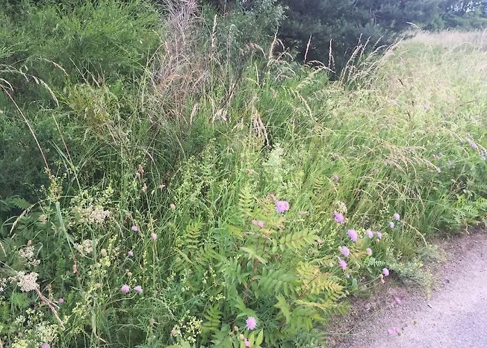 Entspannung In Der Schoenen Lueneburger Heide Gohrde