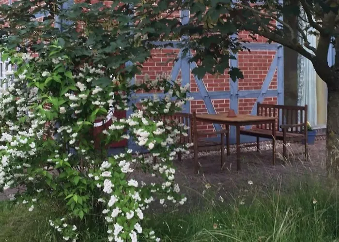 Entspannung In Der Schoenen Lueneburger Heide